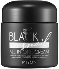 Крем для лица с экстрактом черной улитки Mizon Black Snail All in One Cream, 75 мл цена и информация | Наносите на чистую кожу лица. Подержите около 10-15 минут и смойте водой. | 220.lv