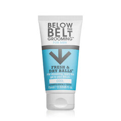 Below the Belt Intīmā želeja vīriešiem 75 ml цена и информация | Below the belt Духи, косметика | 220.lv