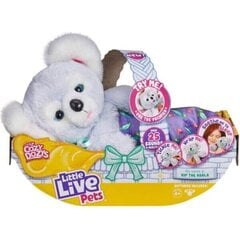 Interaktīva rotaļlieta, Koala Little Live Pets Cozy Dozys cena un informācija | Rotaļlietas meitenēm | 220.lv