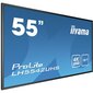 Iiyama 1_781601, 54.6'' цена и информация | Monitori | 220.lv