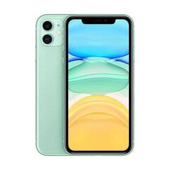 iPhone 11 64GB Green (lietots, stāvoklis A) цена и информация | Мобильные телефоны | 220.lv