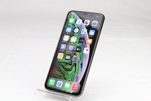Телефон iPhone XS Max 256GB Space Gray (подержанный, состояние A) цена и информация | Мобильные телефоны | 220.lv