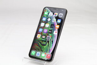 iPhone XS Max 256GB Space Gray (lietots, stāvoklis A) cena un informācija | Mobilie telefoni | 220.lv