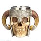 Vikings Skull cena un informācija | Datorspēļu suvenīri | 220.lv