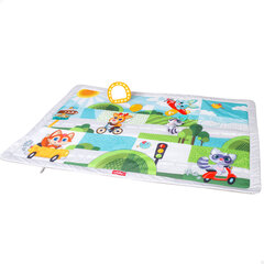Детский коврик Winfun, 0M+ цена и информация | Игрушки для малышей | 220.lv
