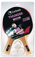 Galda tenisa kompl. GARLANDO Thunder 2C4-4 cena un informācija | Galda tenisa raketes, somas un komplekti | 220.lv