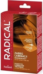 Восстановительная процедура ламинирования для сухих и ломающихся волос Farmona Radical цена и информация | Распылите крем-спрей на волосы на расстоянии 20-25 см, расчешите их расческой. | 220.lv