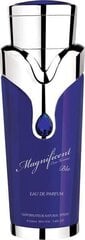 Armaf Magnificent Blue For Men - EDP 100 ml cena un informācija | Vīriešu smaržas | 220.lv