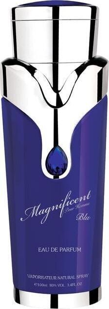 Armaf Magnificent Blue For Men - EDP 100 ml cena un informācija | Vīriešu smaržas | 220.lv