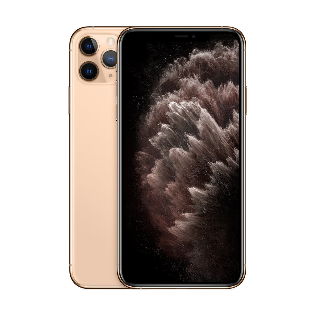 iPhone 11 Pro Max 256GB Gold (lietots, stāvoklis A) cena un informācija | Mobilie telefoni | 220.lv