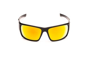 Солнцезащитные очки Granite, 212007-14 цена и информация | Солнцезащитные очки для мужчин | 220.lv