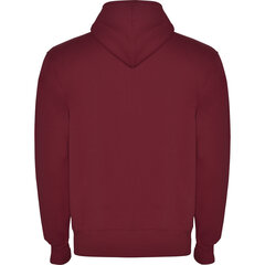 Vīriešu hudijs džemperis MONTBLANC tumši sarkans cena un informācija | Vīriešu jakas | 220.lv