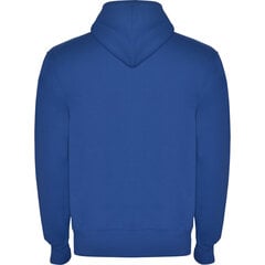 Vīriešu hudijs džemperis MONTBLANC zils cena un informācija | Vīriešu jakas | 220.lv
