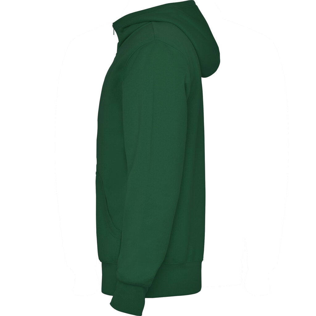 Vīriešu hudijs džemperis MONTBLANC tumši zaļa cena un informācija | Vīriešu jakas | 220.lv