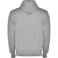Vīriešu hudijs džemperis MONTBLANC pelēks cena un informācija | Vīriešu jakas | 220.lv