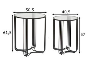 Набор из 2-х журнальных столиков Industrial 50, черный цена и информация | Журнальные столики | 220.lv