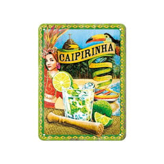 Металлическая пластина 15x20 см / Caipirinha цена и информация | Декоры для сада | 220.lv