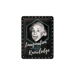 Metāla plāksne 15x20 cm / Einstein - Imagination & Knowledge cena un informācija | Interjera priekšmeti | 220.lv