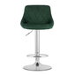 Bāra-pusbāra krēsls Kast, gobelēns, zaļš/sudraba krāsas cena un informācija | Virtuves un ēdamistabas krēsli | 220.lv