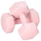 Hanteles Springos FA1063, 2x2 kg, rozā cena un informācija | Svari, hanteles, stieņi | 220.lv