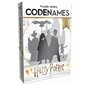 Codenames: Harry Potter cena un informācija | Galda spēles | 220.lv