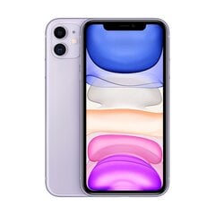 iPhone 11 64GB Purple (lietots, stāvoklis A) cena un informācija | Mobilie telefoni | 220.lv