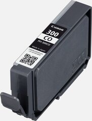 Canon 4201C001 цена и информация | Картриджи для струйных принтеров | 220.lv