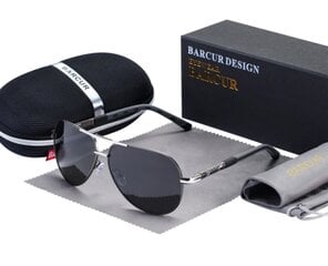 Polarizētas nerūsējošā tērauda saulesbrilles vīriešiem цена и информация | Солнцезащитные очки для мужчин | 220.lv