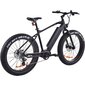 FitNord Rumble 500 elektriskais Fatbike (690 Wh jaudas akumulators), rāmis 42cm цена и информация | Elektrovelosipēdi | 220.lv