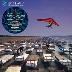 Виниловая пластинка Pink Floyd - A Momentary Lapse Of Reason (Remixed & Updated), 2LP, 12" vinyl record цена и информация | Виниловые пластинки, CD, DVD | 220.lv