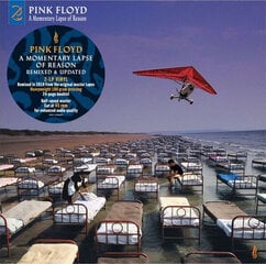 Виниловая пластинка Pink Floyd - A Momentary Lapse Of Reason (Remixed & Updated), 2LP, 12" vinyl record цена и информация | Виниловые пластинки, CD, DVD | 220.lv