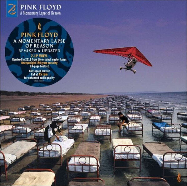 Pink Floyd - A Momentary Lapse Of Reason (Remixed & Updated), 2LP, vinila plates, 12" vinyl record цена и информация | Vinila plates, CD, DVD | 220.lv