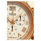 Vīriešu pulkstenis Charmex Monaco 1755 цена и информация | Vīriešu pulksteņi | 220.lv