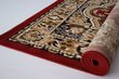 Alfa paklājs Red, 60x100 cm цена и информация | Paklāji | 220.lv
