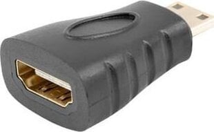 Adapteris Lanberg AD-0037-BK cena un informācija | Adapteri un USB centrmezgli | 220.lv