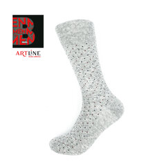Мужские носки Bisoks 12319 l.grey цена и информация | Мужские носки | 220.lv