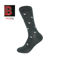 Мужские носки Bisoks 12309 antracit цена и информация | Мужские носки | 220.lv