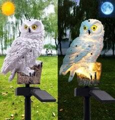 Садовый солнечный светильник - сова цена и информация | Уличное освещение | 220.lv