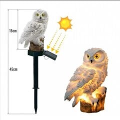 Садовый солнечный светильник - сова цена и информация | Уличное освещение | 220.lv