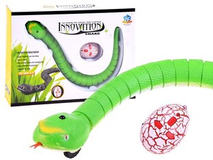 Tālvadības čūska, zaļa cena un informācija | Rotaļlietas zēniem | 220.lv