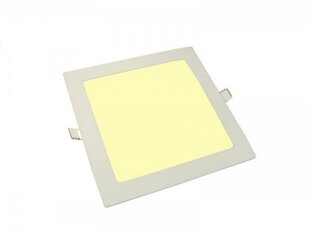 LED Tyloo Light 24W 4000-4500K - cena un informācija | Iebūvējamās lampas, LED paneļi | 220.lv