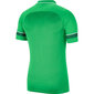 Sporta polo krekls vīriešiem Nike Polo Dry Academy 21 M CW6104 362, zaļš цена и информация | Sporta apģērbs vīriešiem | 220.lv