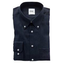 Рубашка мужская, синяя (Regular), 22ОС / ВОС0061260 цена и информация | Мужские рубашки | 220.lv