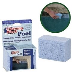 Блок для чистки плитки для бассейнов и спа CLEANING BLOCK POOL цена и информация | Чистящие средства | 220.lv