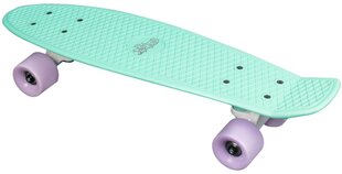 Skrituļdēlis - No Rules Skateboard fun MINT-PURBLE cena un informācija | Skrejriteņi | 220.lv