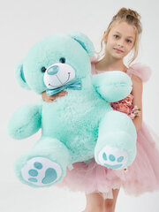 Плюшевый медведь "Рафаэль" 110 см Тиффани цена и информация | Мягкие игрушки | 220.lv