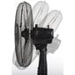 Ventilators Dunlop, 40 cm, melns cena un informācija | Ventilatori | 220.lv