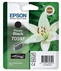 Epson Tinte C13T05914010 T0591 - cena un informācija | Tintes kārtridži | 220.lv