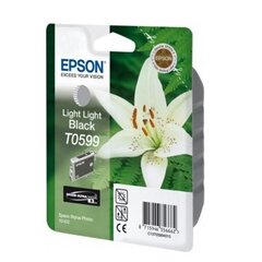 Epson Tinte C13T05994010 T0599 - cena un informācija | Tintes kārtridži | 220.lv