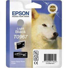 Epson Tinte C13T09674010 T0967 - cena un informācija | Tintes kārtridži | 220.lv